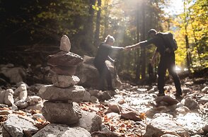 Apart Herzog - Design Apartments Leogang