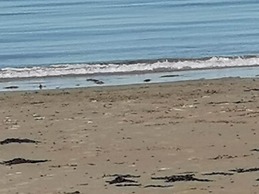 Snowdonia Sunbeach Holiday Sea and Mountain View