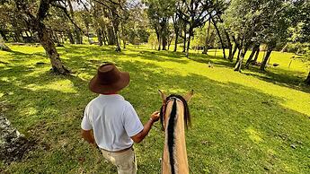WoodStone Hotel Fazenda