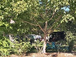 Bigfoot RV & Cabins Park