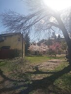 Bigfoot RV & Cabins Park