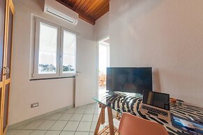 The House on the Harbour