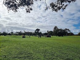 Head to great ocean  bowling point cook
