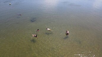 Log Cabin On And Overlooking a 9km Lagoon
