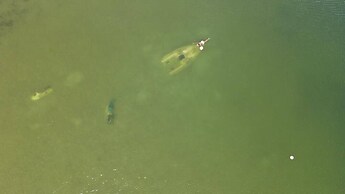 Log Cabin On And Overlooking a 9km Lagoon