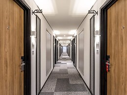Ibis Aruja