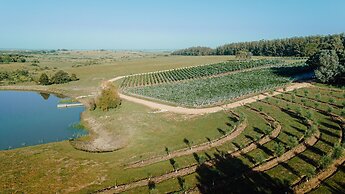 LUZ Culinary Wine Lodge