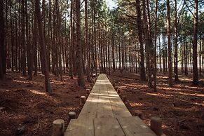 LUZ Culinary Wine Lodge