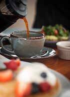 Bacalari - Adults only