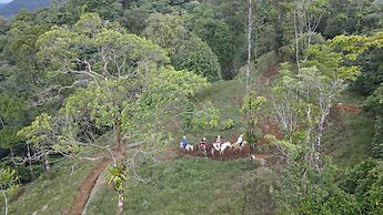 Rio Celeste Nature View