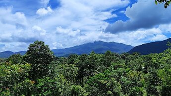 Rio Celeste Nature View