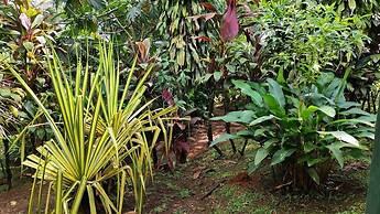 Rio Celeste Nature View