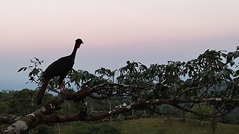 Rio Celeste Nature View