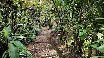 Rio Celeste Nature View