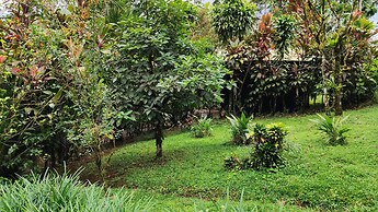 Rio Celeste Nature View