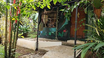 Rio Celeste Nature View