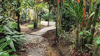 Rio Celeste Nature View