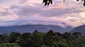 Rio Celeste Nature View