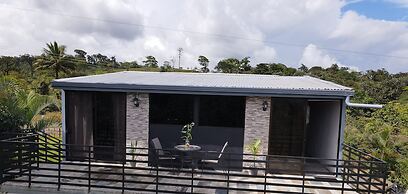 Rio Celeste Nature View