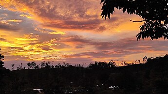 Rio Celeste Nature View
