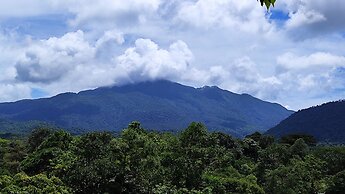 Rio Celeste Nature View