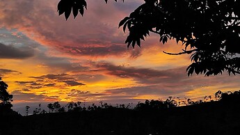 Rio Celeste Nature View