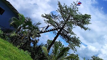 Rio Celeste Nature View