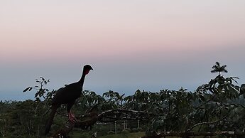 Rio Celeste Nature View