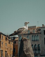 Venetia Domus 004 in Pellestrina