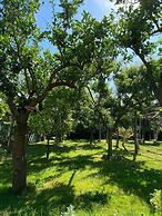 Residence Limoneto - Casa Limoneto