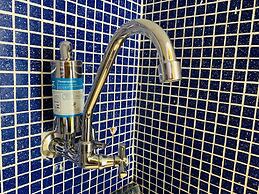 Br156166 Sirio Libanes