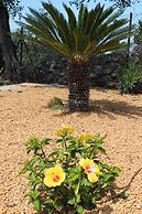 Villa Santa Barbara by Portucasa