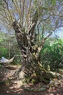 Prasini Luxury Cottage