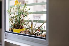 Av0504 Studio Avanhandava