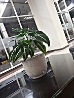 iRoom Margonda Residence 345