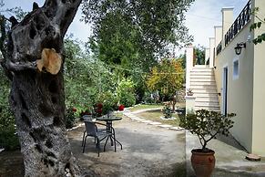 Villa Costa in Sfakera