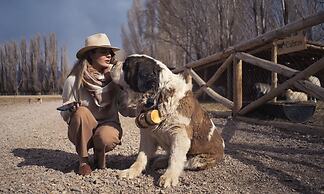 Cinco Cumbres luxury Camp & Eco Lodge