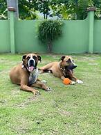 Cabinas Brisa Del Mar