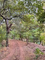9 Son's Rio Cibolo - Birdhouse Cabin