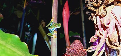 Jardín entre Montañas