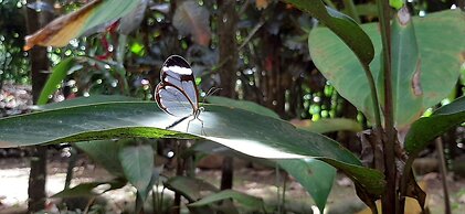 Jardín entre Montañas