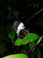 Jardín entre Montañas