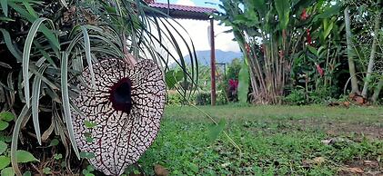 Jardín entre Montañas