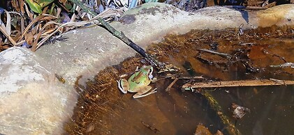 Jardín entre Montañas