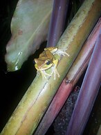 Jardín entre Montañas