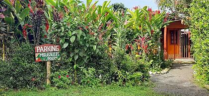 Jardín entre Montañas