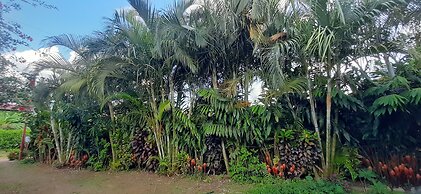 Jardín entre Montañas