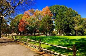 Cheerful & Beautiful 3-Bedroom Ranch