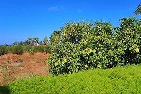 Villa Stavriella in Latchi