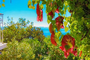 Villa Nafsika in Nisaki